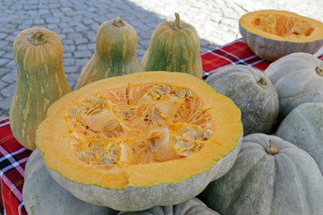 Half pumpkin with seeds. Pumpkin background texture. Squash pattern. Group