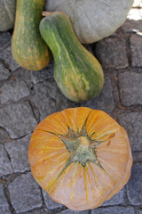 Pumpkins on the street. Squash background. Pumpkin pattern.