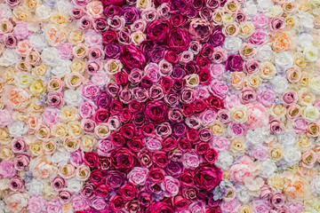 Pared hecha con rosas de diferentes tonos de color