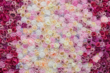 Pared hecha con rosas de diferentes tonos de color