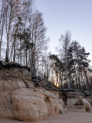 Obraz premium early winter morning, sandstone cliffs, trees and seashore