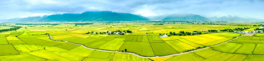 Poster Luchtfoto van prachtige rijstvelden in taitung. Taiwan. © Tom Wang