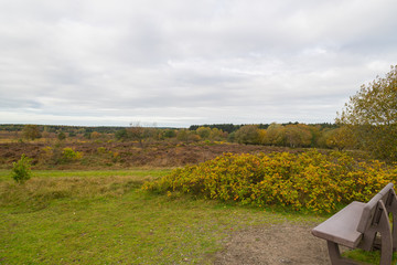 a further outlook on the  natural landscape of Cuxhaven coastal heaths, which was previously a...