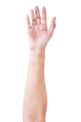 Obraz premium Male asian hand gestures isolated over the white background. Soft Grab Action.