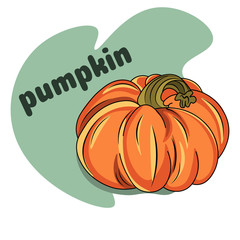 Cartoon pumpkin. Different on white background with the words 