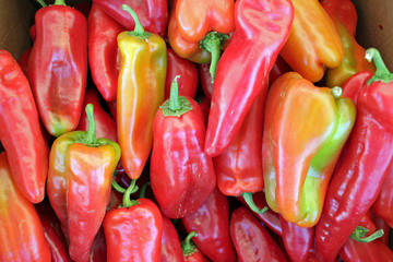 Peppers. Organic colorful peppers. Veggies background. Vegetables pattern, full frame. Red peppers.
