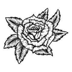 illustration of rose in tattoo style isolated on white background. Design element for logo, label, badge, sign. Vector illustration
