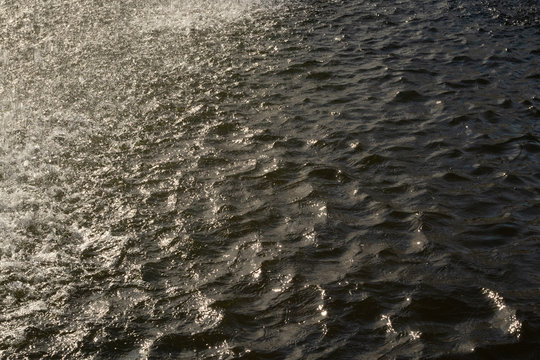 Sira Bilder Durchsuchen 974 Archivfotos, und Videos