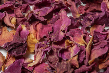 Dried rose petals pink flowers side view macro with white background
