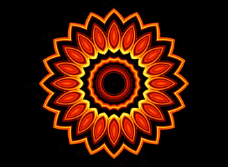 Fiery flower on black background