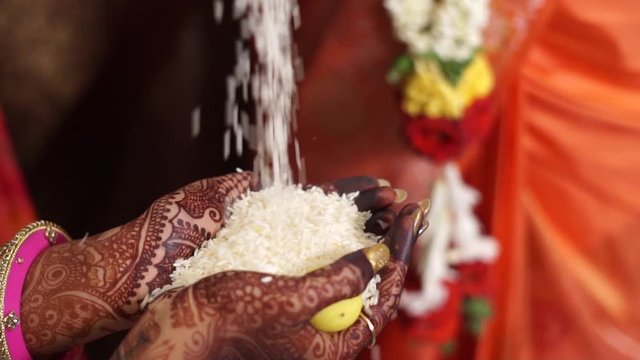 Indian bride hand filled with rice . It is generally followed tradition in Hindu marriages.