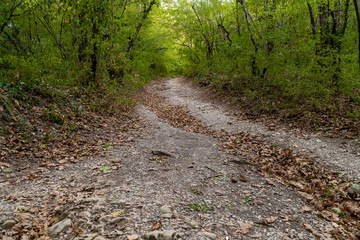 Picturesque forest and mountain views in the vicinity of Gelendzhik.
