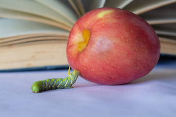 Worms and apples on blurred retro a book background,