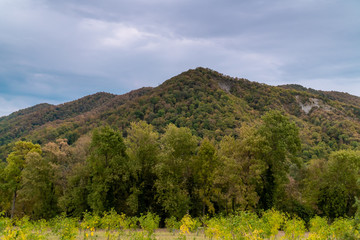 Picturesque forest and mountain views in the vicinity of Gelendzhik.