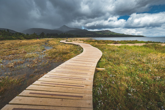 Wooden Walking Way at Coastline Nothern Ireland. Wood Footpath Along Coast, Calm Ocean Bay, Green Forest Climbs and Sky with Stormy Clouds. Wonderful Seaside Place and Tourist Walkway