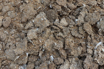 Chicken manure fertilizer