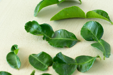 Kaffir lime leaves on white wooden background,