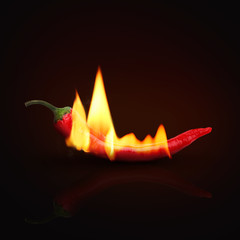 Hot chili pepper on white background