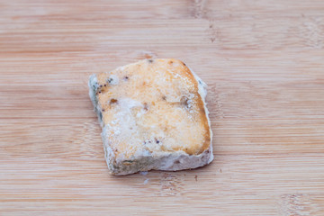 mould on bread