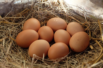 Close-up​ of​ fresh chicken eggs with nest​ in​ the​ wood​en​ box, A pile of brown eggs in a nest.
