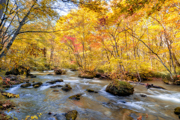 See the beautiful waterfall in Oirase gorge in autumn, Tohoku, Aomori - 298637624
