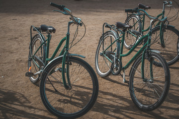 Fototapeta na wymiar Bicicletas verdes aparcadas en un parque