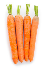 Tasty fresh carrots on white background