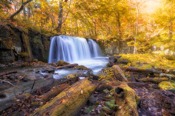 See the beautiful waterfall in Oirase gorge in autumn, Tohoku, Aomori - 298637832