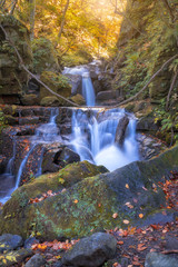 See the beautiful waterfall in Oirase gorge in autumn, Tohoku, Aomori - 298637835