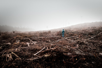 Person stands in the middle of a dead forest surrounded by dense fog, lumbered by timber industry,...