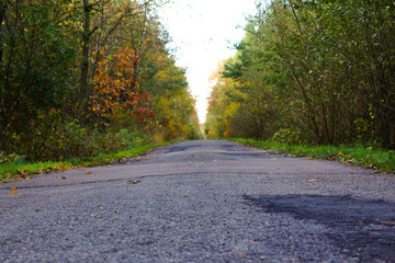 Straight road with selected focus on foreground