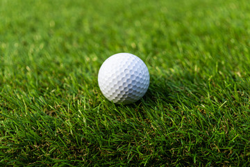 Golf ball on the green,Green grass with golf ball close-up in soft focus at sunlight. Sport playground for golf club concept - wide landscape as background for your lettering about golf playing.