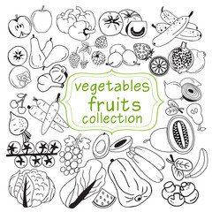 collection of doodle organic fruits and vegetables