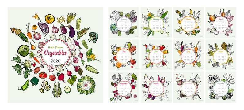 2020 calendar vegetable groceries art vector set. Desk, screen, colorful 2020 calendar template. Organic fresh food hand drawn line illustration. Sketched calendar, day planner. Set 12 month pages.