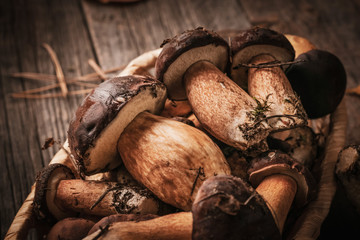 Fresh bay bolete forest mushrooms in wicker basket on wooden background