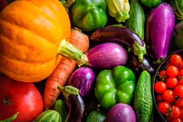 Harvest autumn vegetables, top view, close-up. Pumpkin over onions, carrots, eggplant, tomatoes, paprika, garlic, cucumbers. Organic food background. Thanksgiving day concept.