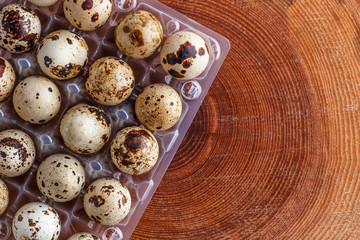 Obraz premium small motley quail eggs in transparent plastic packages.Open space, healthy food concept, plants, soil, organic natural products, natural food, vegetarian dishes, vegetables, raw
