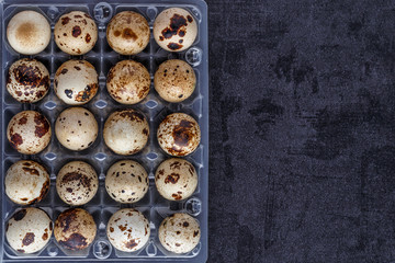 Obraz premium small motley quail eggs in transparent plastic packages.Open space, healthy food concept, plants, soil, organic natural products, natural food, vegetarian dishes, vegetables, raw