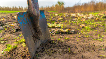 a shovel digging ground close-up