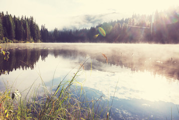 Fog on the lake