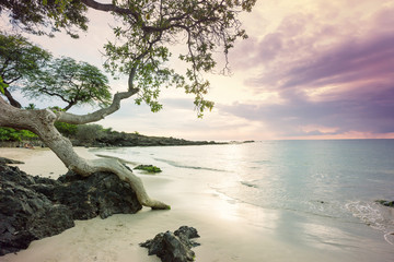 Hawaiian beach