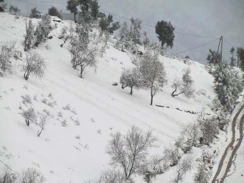 Snow - Ketama Morocco