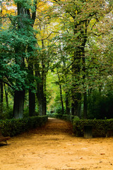 camino 2