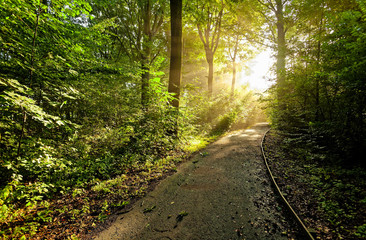 For&ecirc;t de Bonsecours