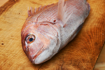 美味い真鯛活け造り