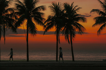 sunrise on beach with palm trees.