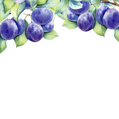 watercolor fruit plum branch