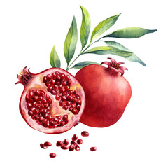 watercolor fruit pomegranate on white background