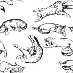 Vintage vector black and white hand drawn seamless background with lying cats. 