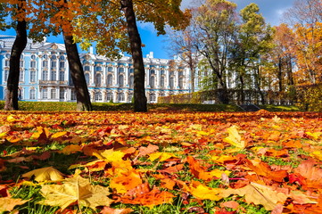 Catherine palace and park in autumn foliage, Tsarskoe Selo (Pushkin), St. Petersburg, Russia
